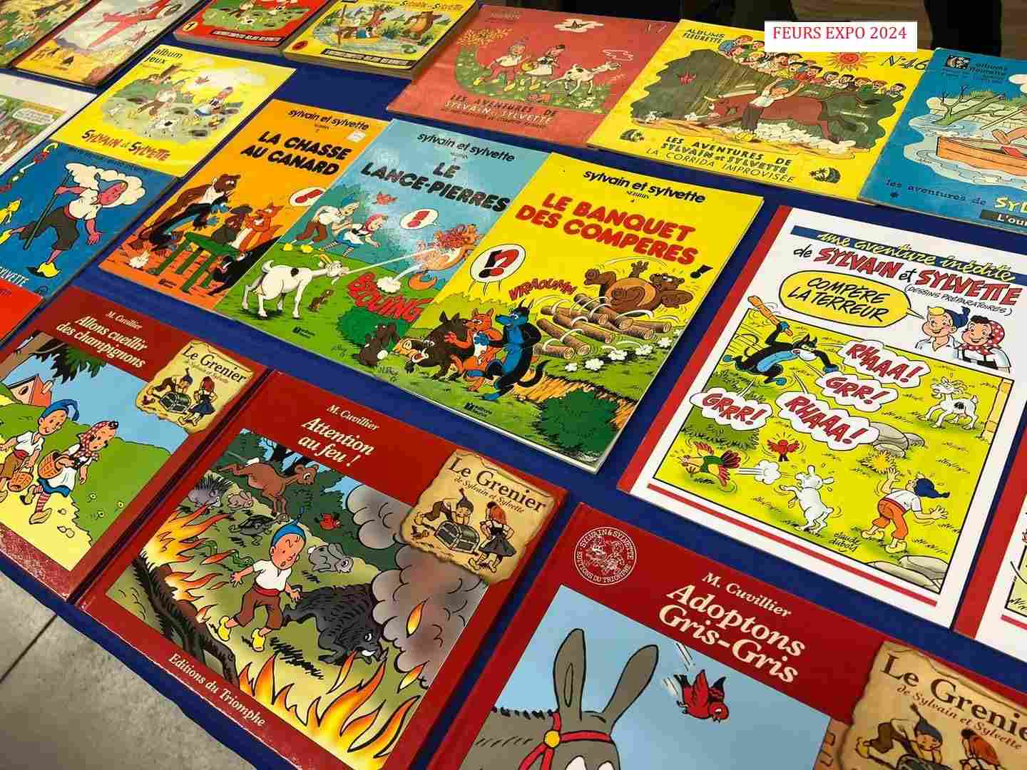 Voir l'image FB_IMG_1727341425443 - Copie.jpg en taille reelle