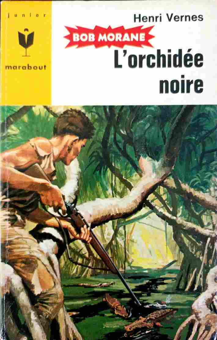 Voir l'image bob_027_orchidee.jpg.jpg en taille reelle