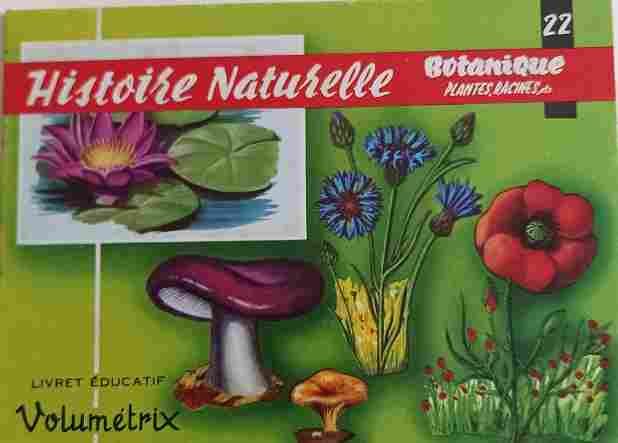 Voir l'image autre_volumetrix_022.jpg.jpg en taille reelle