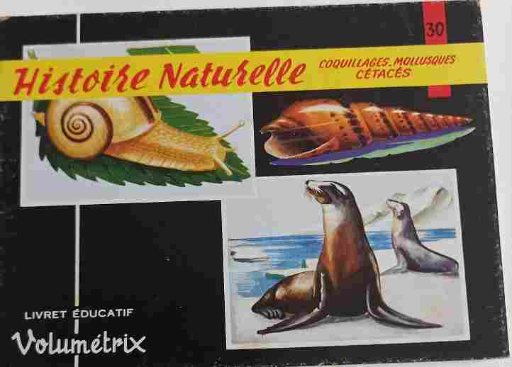 Voir l'image autre_volumetrix_030.jpg.jpg en taille reelle