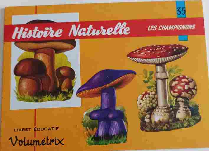 Voir l'image autre_volumetrix_035.jpg.jpg en taille reelle