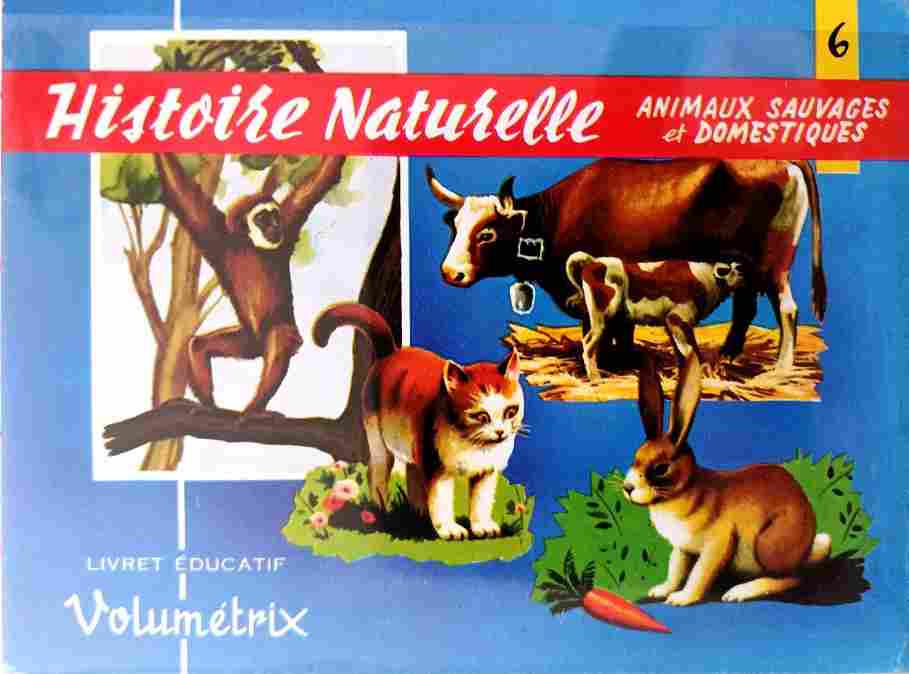 Voir l'image volumetrix_006.jpg.jpg en taille reelle