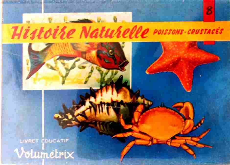 Voir l'image volumetrix_008.jpg.jpg en taille reelle