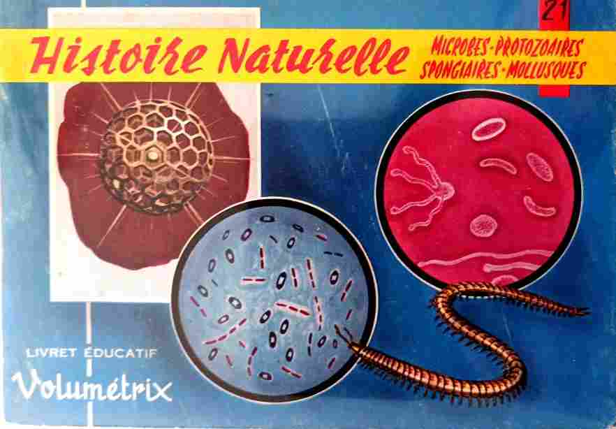 Voir l'image volumetrix_021.jpg.jpg en taille reelle