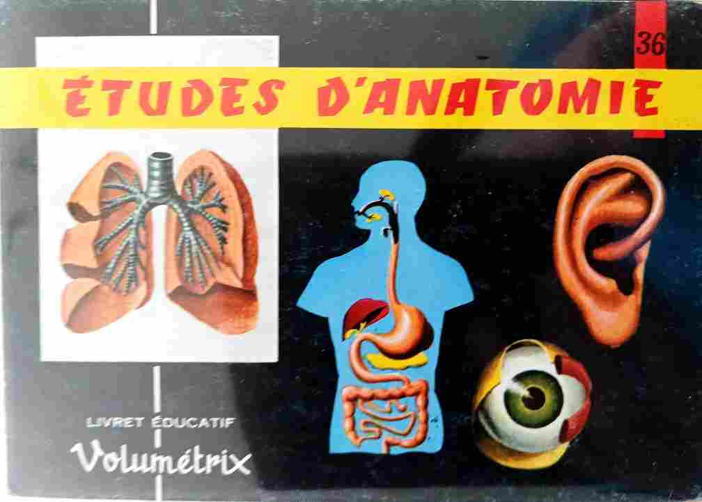 Voir l'image volumetrix_036.jpg.jpg en taille reelle