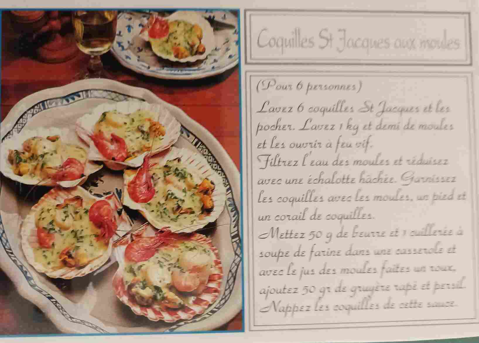 Voir l'image 141_coquilles.jpg en taille reelle