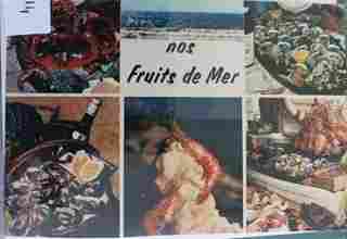 Voir l'image 114_fruits_me.jpg en taille reelle