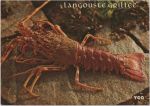160_langouste.jpg