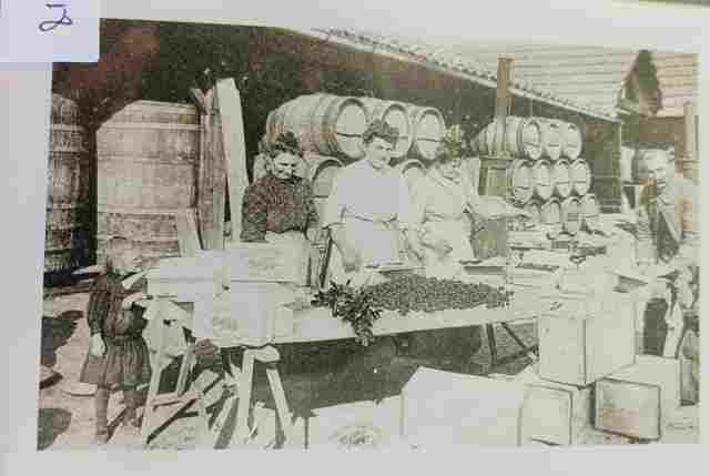 Voir l'image 18_pruneaux_caisses.jpg en taille reelle
