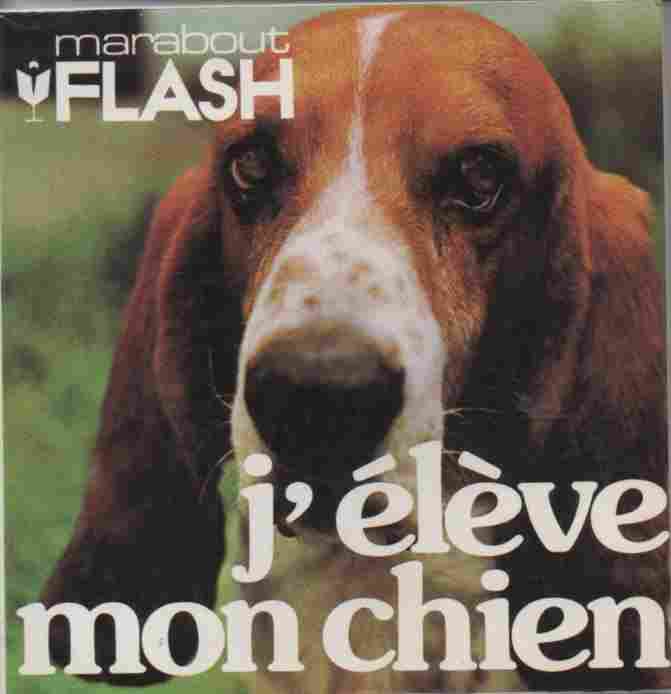 Voir l'image flash_015_1983.jpg.jpg en taille reelle